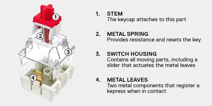 Which Mechanical Switch Should You Use?