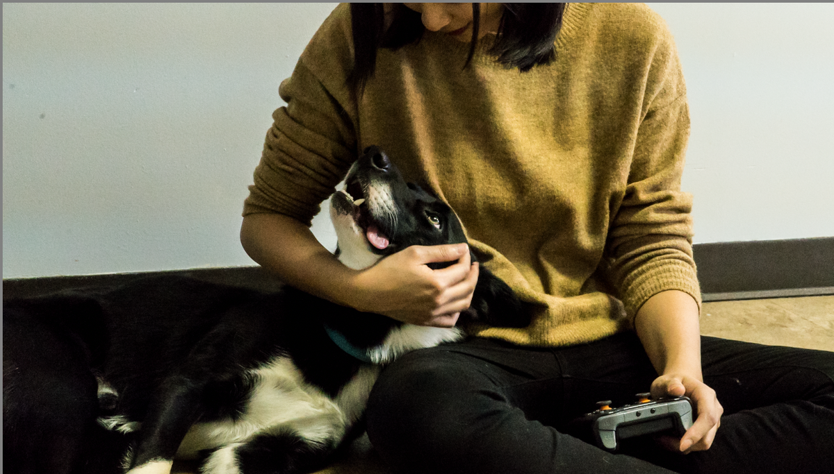 SteelSeries + Chicago Canine Rescue SteelSeries