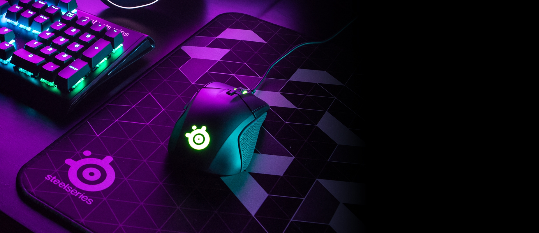 Rival 310