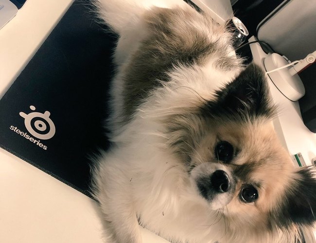 @ZnipeTV @ZnipeTV