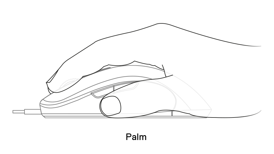 Sensei Ten palm grip example