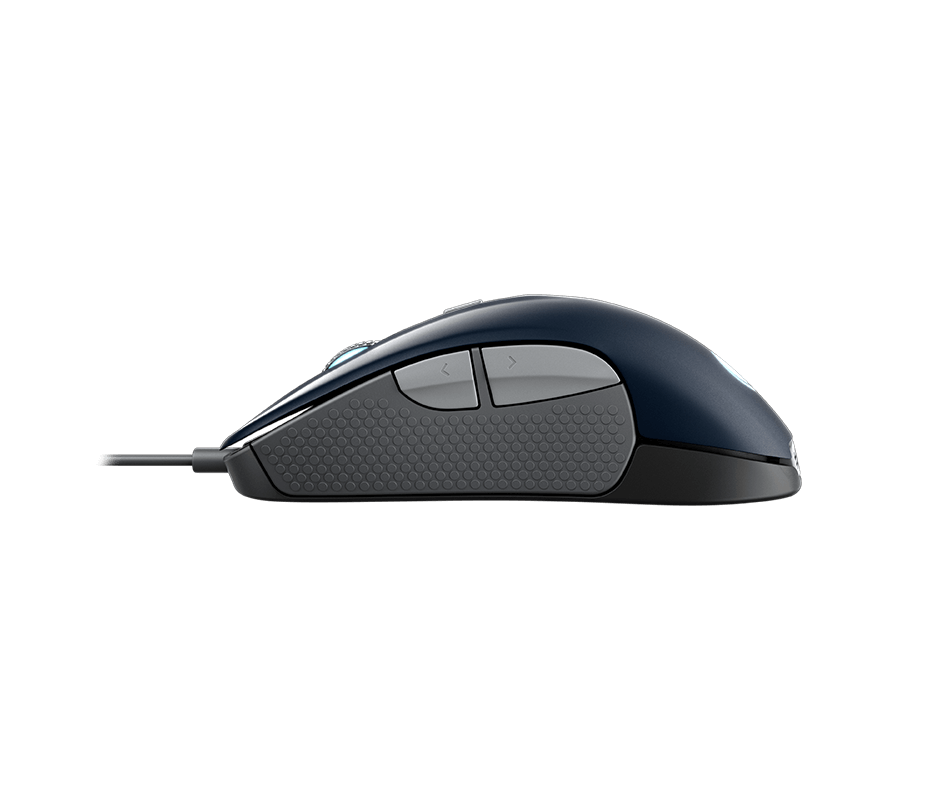 Rival 300 Switches