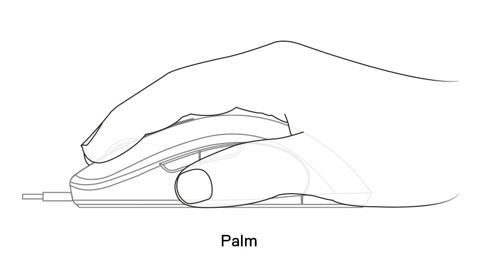 Sensei Ten palm grip example